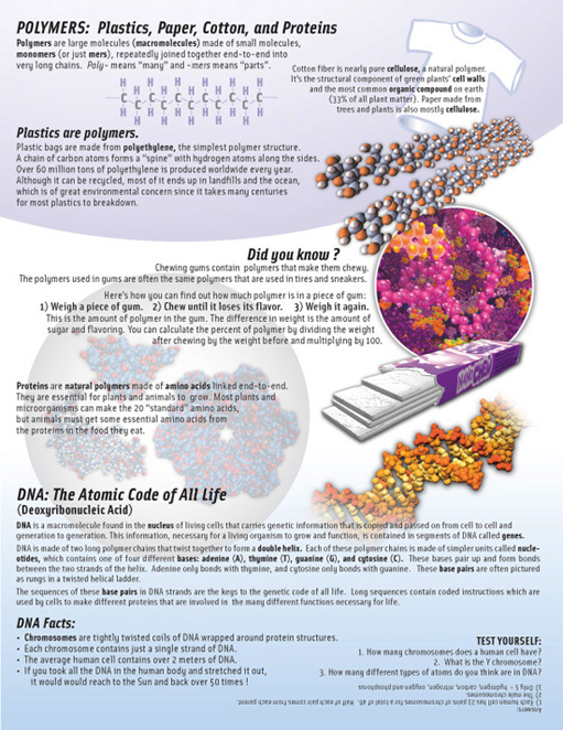 Educator's guide page explaining polymers and DNA